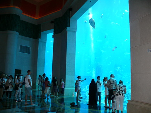 Dubai Hotel Room Aquarium