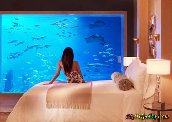 Dubai Hotels 7 Star Inside