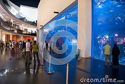 Dubai Mall Aquarium