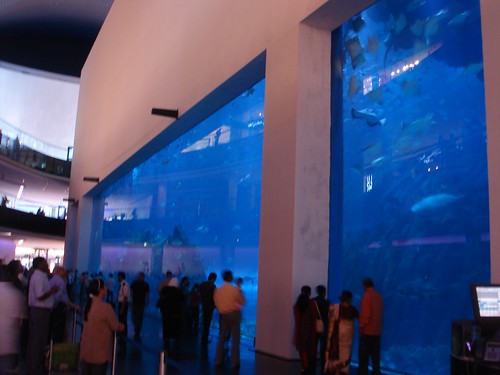 Dubai Mall Aquarium Broke