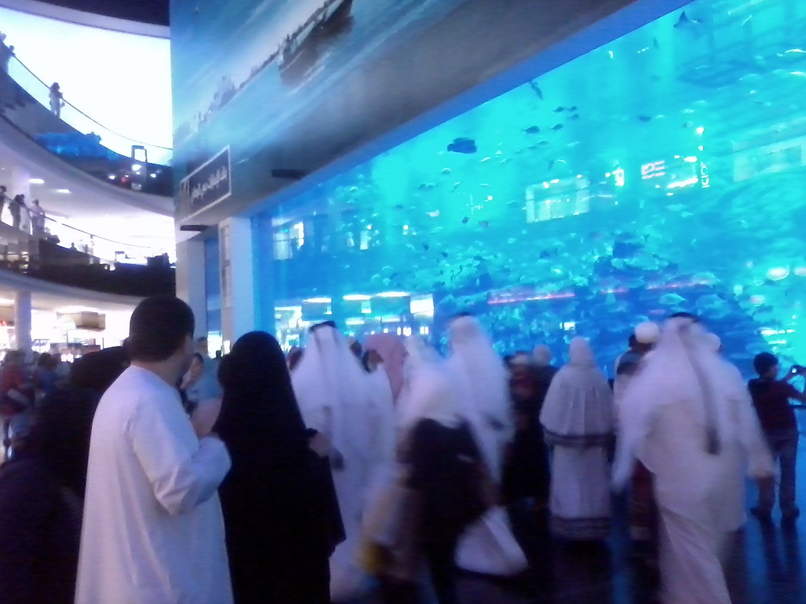 Dubai Mall Aquarium Broke