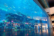 Dubai Mall Aquarium Broke