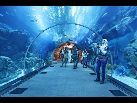 Dubai Mall Aquarium Broke Video