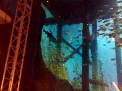 Dubai Mall Aquarium Broke Video