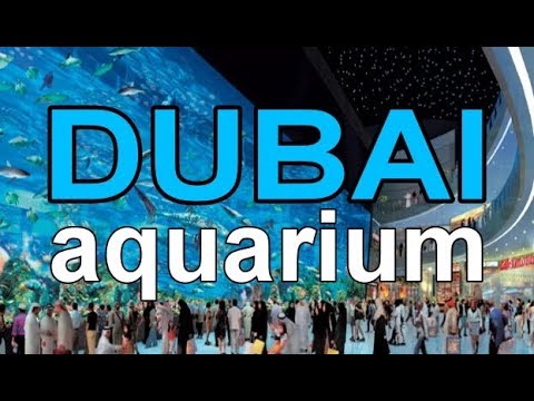 Dubai Mall Aquarium Broke Video