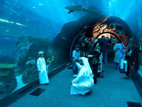 Dubai Mall Aquarium Broke Video