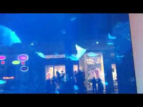 Dubai Mall Aquarium Broke Video