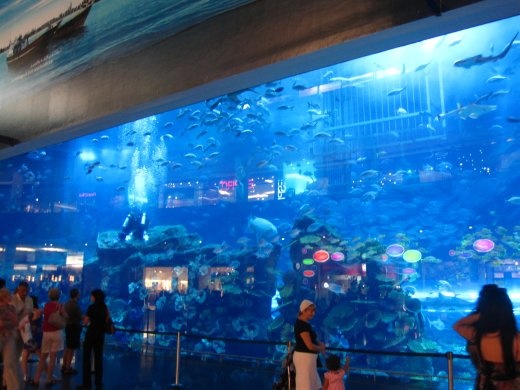 Dubai Mall Aquarium Diving