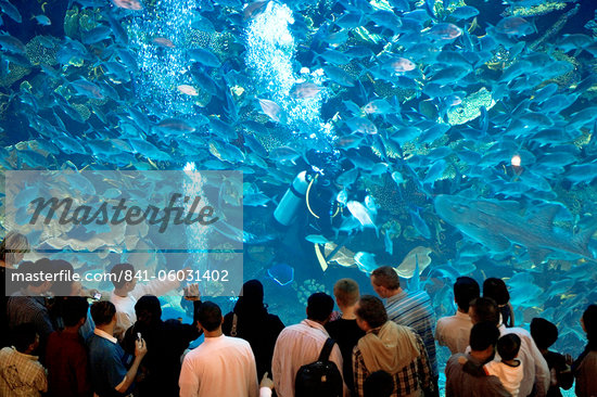 Dubai Mall Aquarium Diving