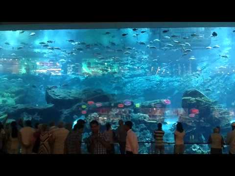 Dubai Mall Aquarium Leak Pictures