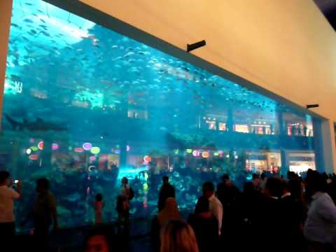 Dubai Mall Aquarium Leak Pictures