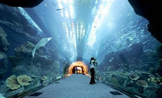 Dubai Mall Aquarium Leak Pictures