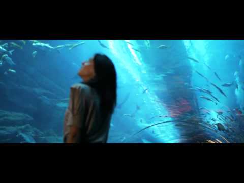 Dubai Mall Aquarium Leak Video