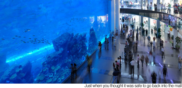 Dubai Mall Aquarium Leak Video