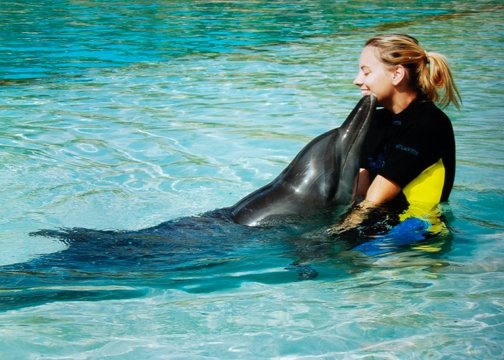 Dubai Mall Aquarium Photo Gallery