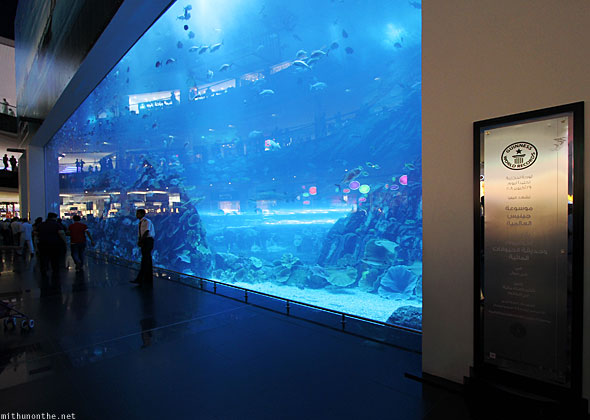 Dubai Mall Aquarium Price