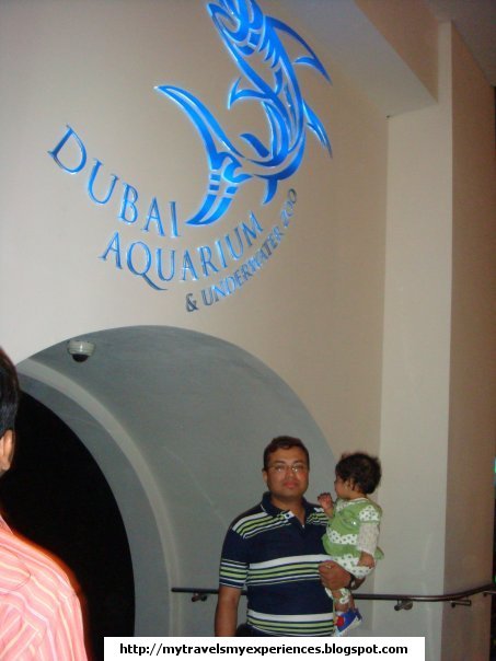 Dubai Mall Aquarium Price