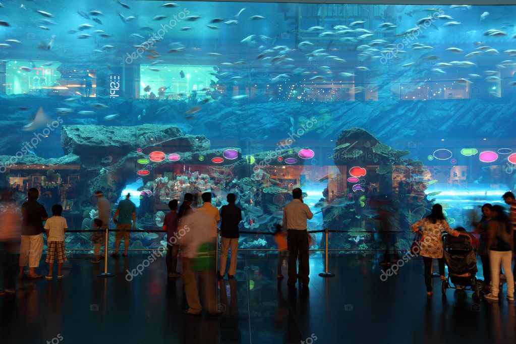 Dubai Mall Aquarium Price