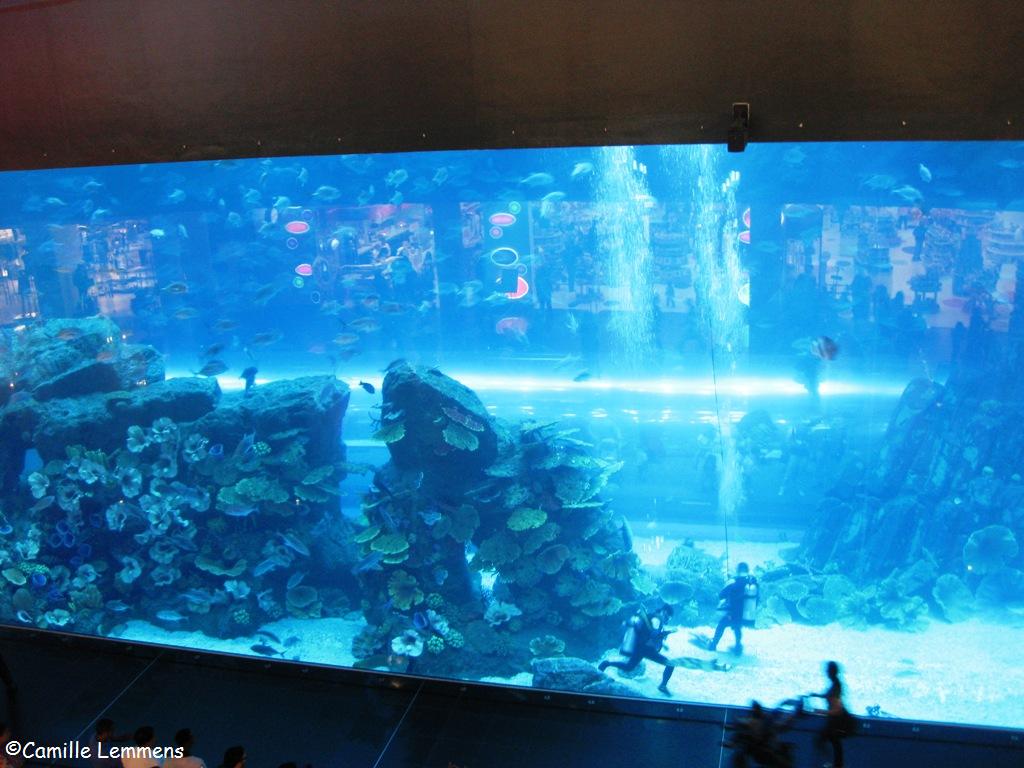 Dubai Mall Aquarium Price