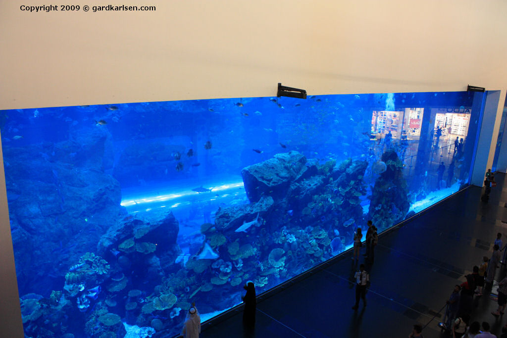 Dubai Mall Aquarium Price