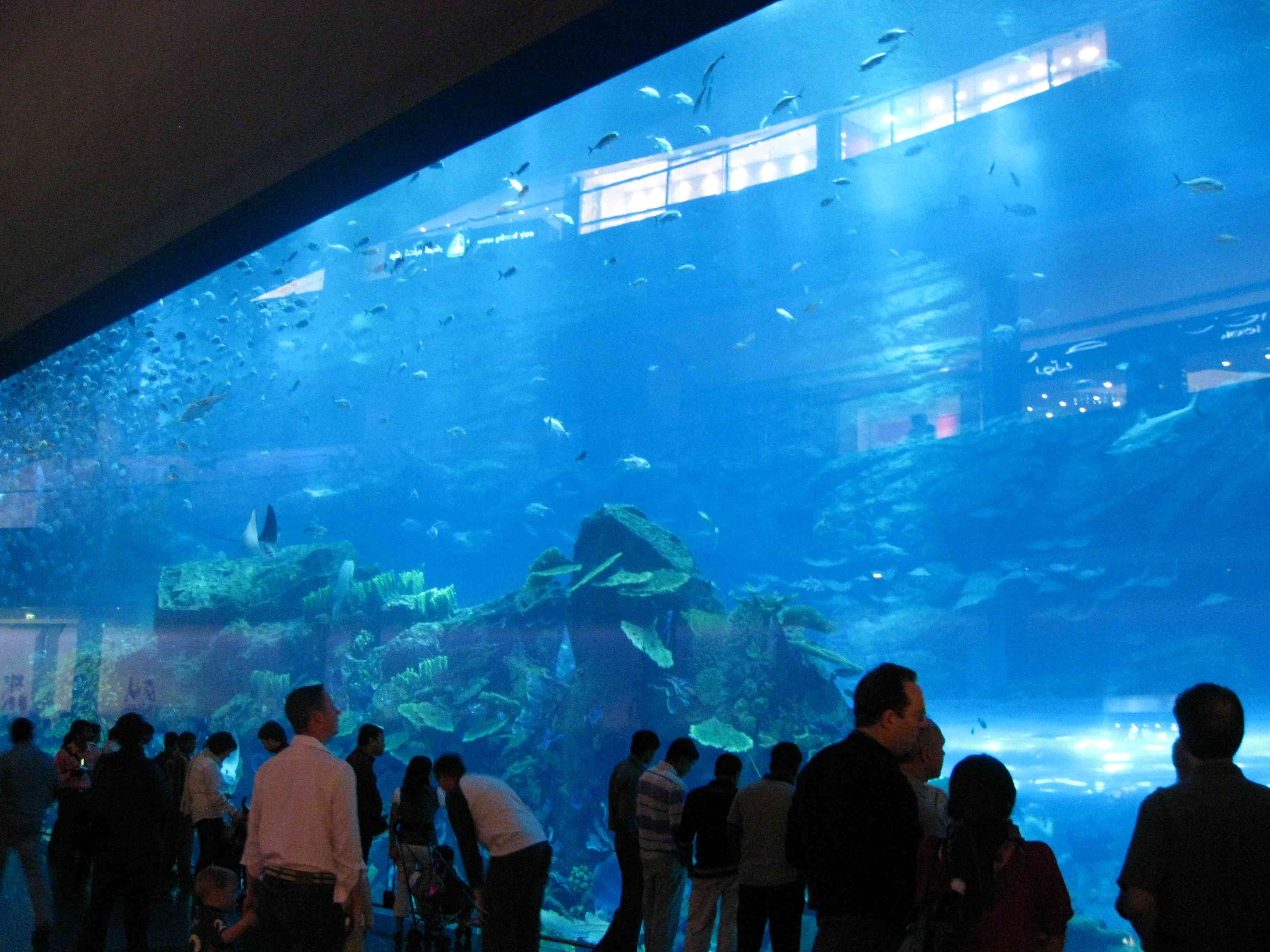 Dubai Mall Inside