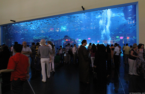 Dubai Mall Inside