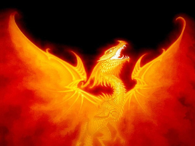 Fire Dragon Wallpaper Desktop