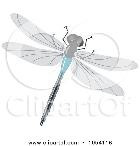 Free Dragonfly Clipart Images