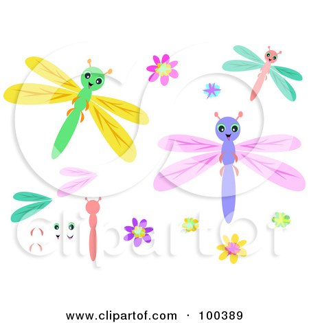 Free Dragonfly Clipart Images