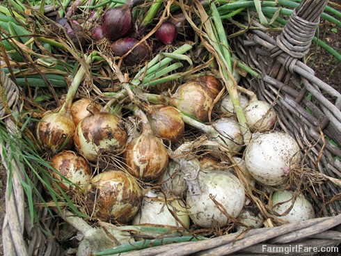 Herbed Potatoes And Onions