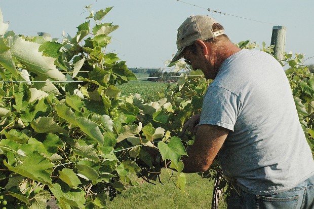 Indian Winery Janesville