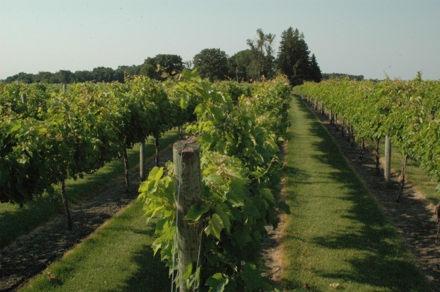 Indian Winery Janesville