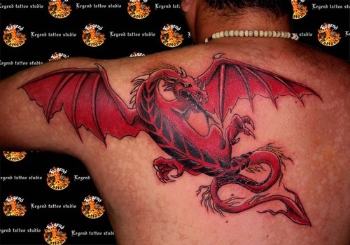 Japanese Dragon Tattoo Designs For Women