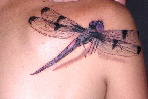Pictures Of Dragonfly Tattoos For Women