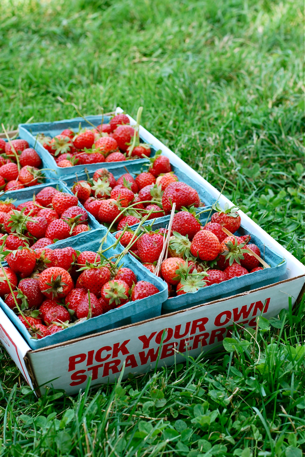 Recipe Strawberry Vanilla Jam