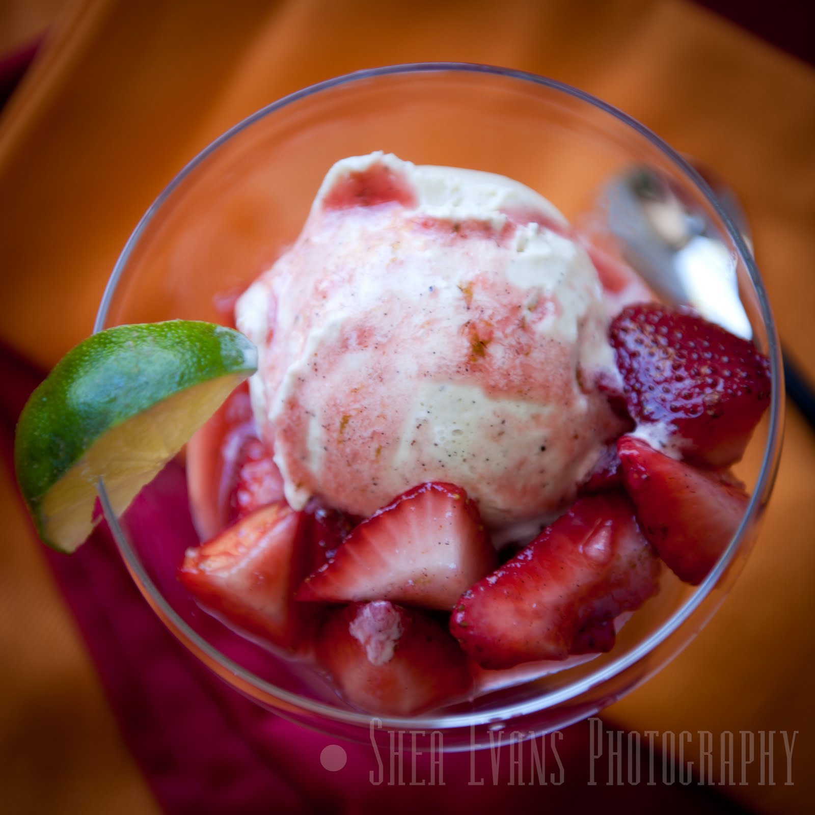 Strawberry Vanilla Ice Cream