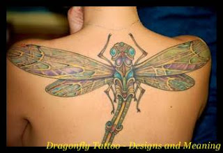 Tribal Dragonfly Tattoo Meaning