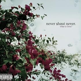 What Is Love Nevershoutnever