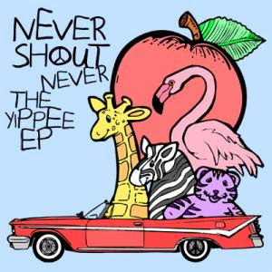 What Is Love Nevershoutnever Zip