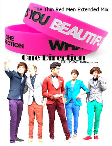 What Makes You Beautiful One Direction Download