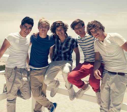 What Makes You Beautiful One Direction Lyrics Download