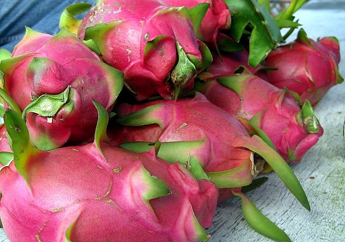 White Dragon Fruit Benefits