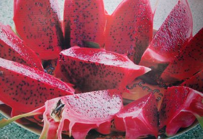 White Dragon Fruit Benefits