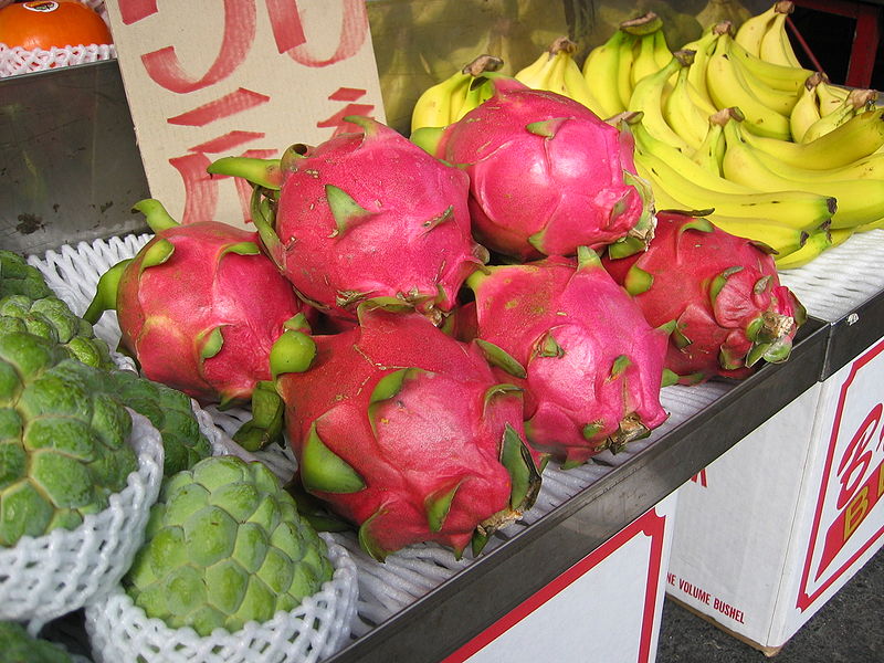 White Dragon Fruit Recipes