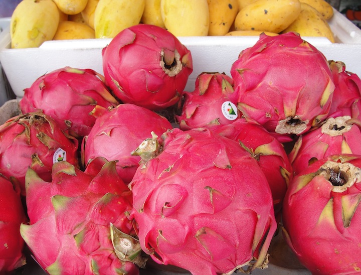 White Dragon Fruit Recipes