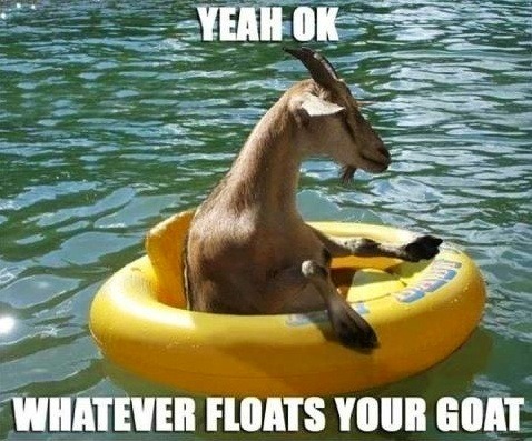 Yeah Whatever Floats Your Goat